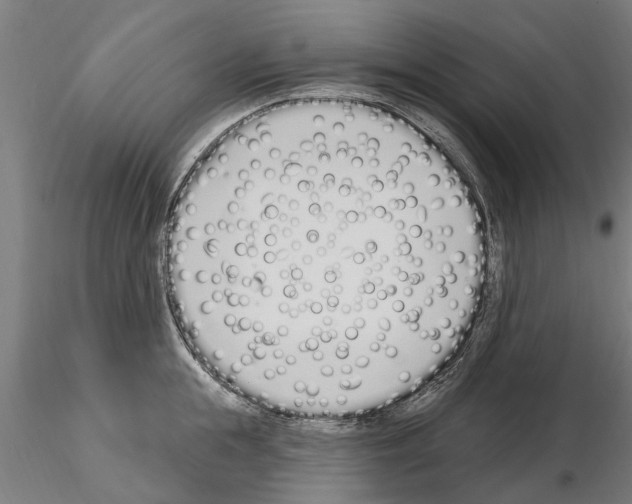 X0000115220855200912091219