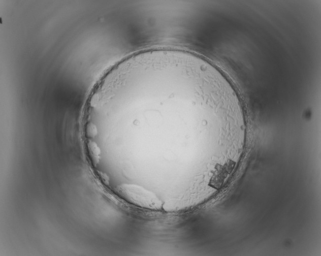X0000115220856200912091219