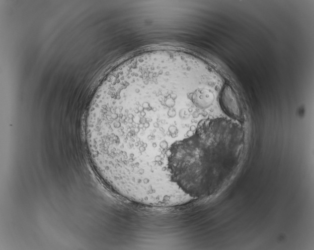 X0000115220857200912091219