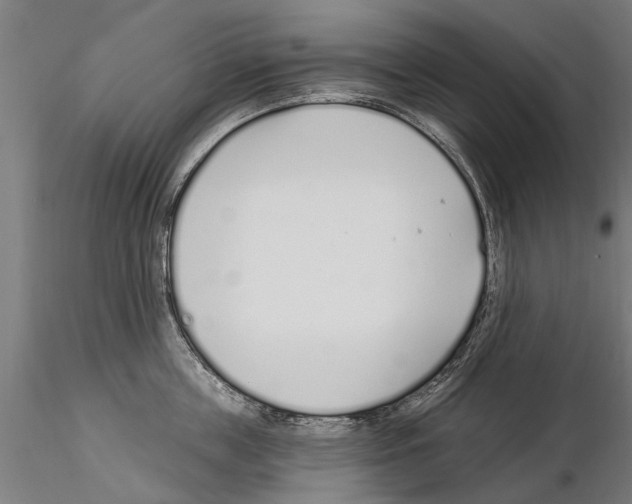 X0000115220859200912091219
