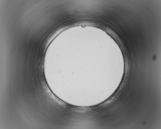 X0000115220860200912091219