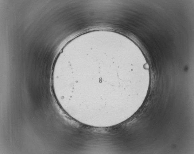 X0000115220861200912091219