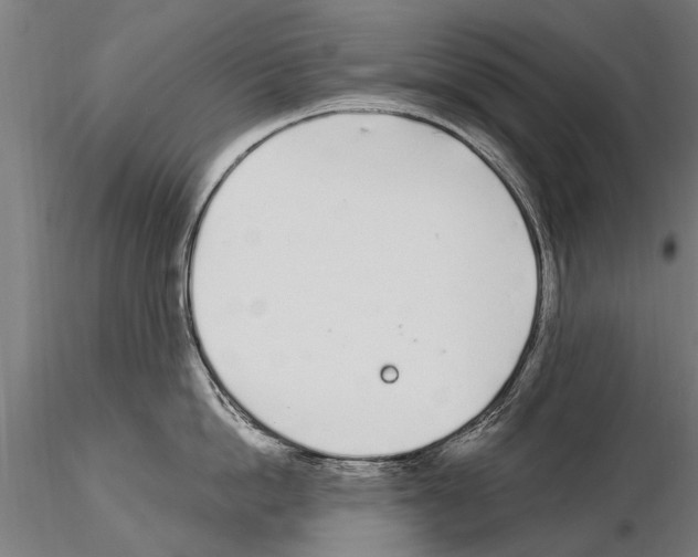 X0000115220862200912091219