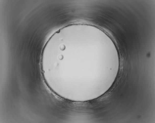 X0000115220863200912091219