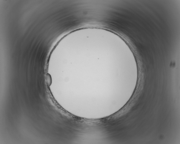 X0000115220864200912091219