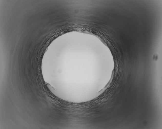 X0000115220865200912091218