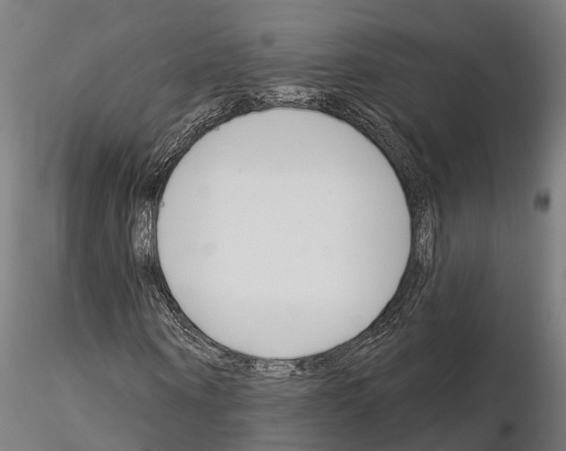 X0000115220866200912091218