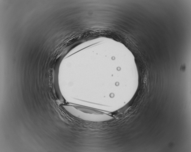 X0000115220868200912091218