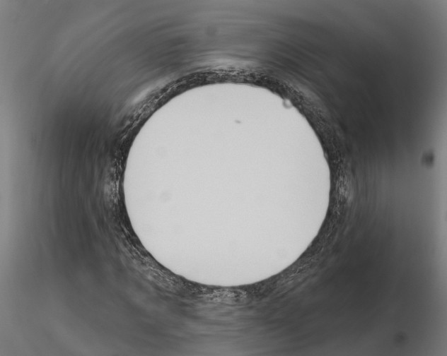 X0000115220869200912091218