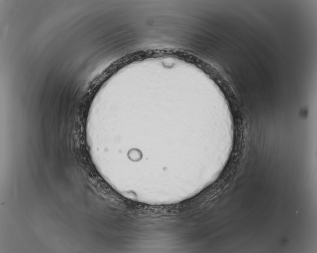 X0000115220871200912091218
