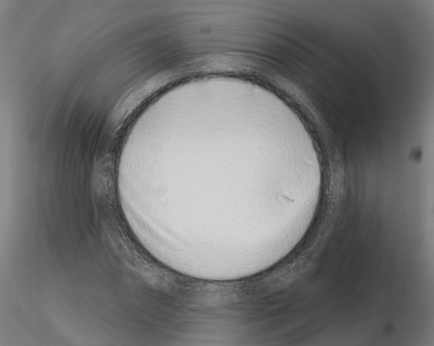 X0000115220874200912091218