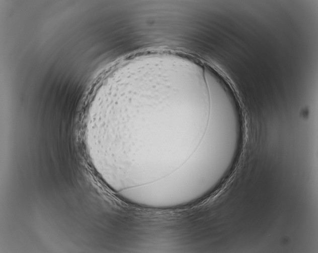 X0000115220876200912091218