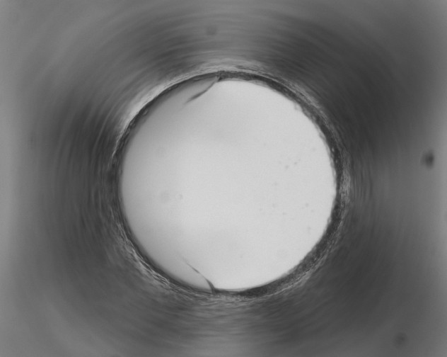 X0000115220877200912091218