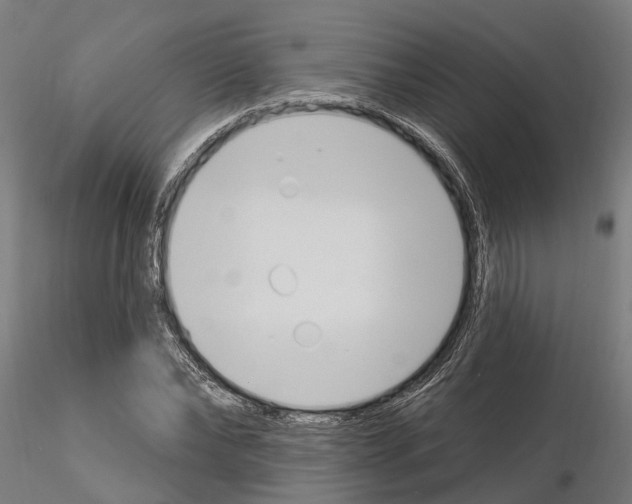 X0000115220878200912091218