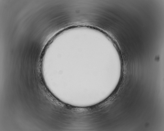 X0000115220879200912091218