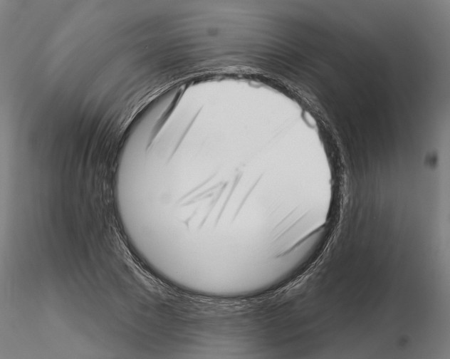 X0000115220881200912091218