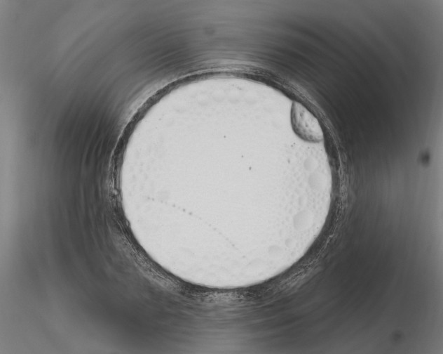 X0000115220883200912091218