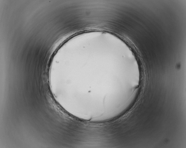 X0000115220884200912091218