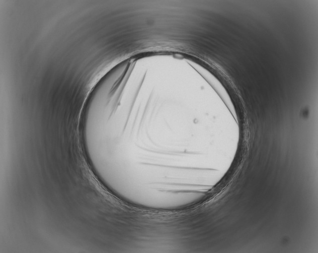 X0000115220885200912091218