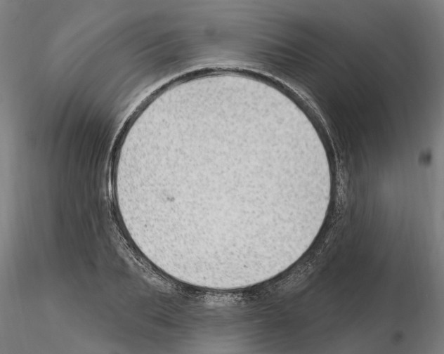 X0000115220887200912091218