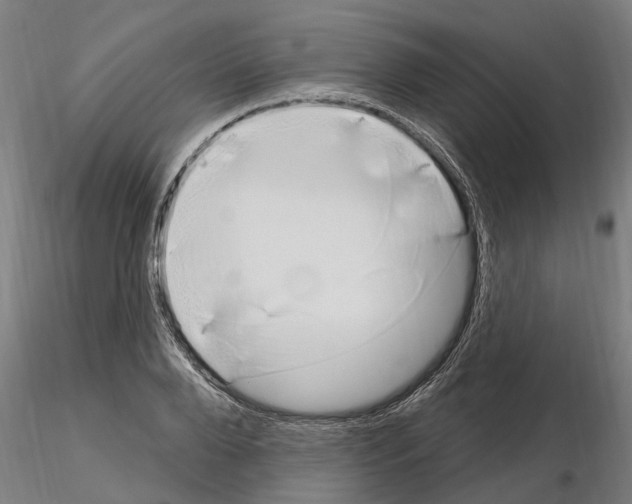 X0000115220888200912091218