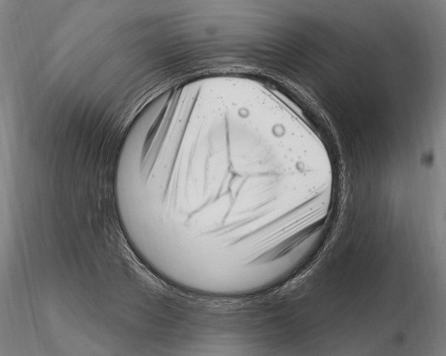 X0000115220889200912091218