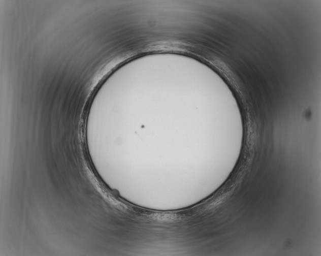 X0000115220893200912091218