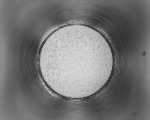 X0000115220894200912091218