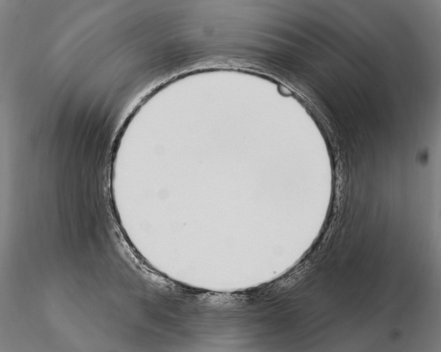 X0000115220896200912091218