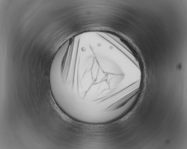 X0000115220897200912091218