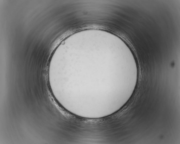 X0000115220898200912091218