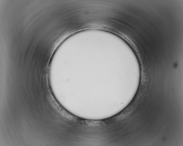 X0000115220899200912091218