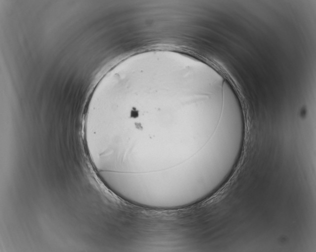 X0000115220900200912091218