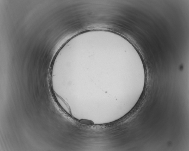 X0000115220901200912091218