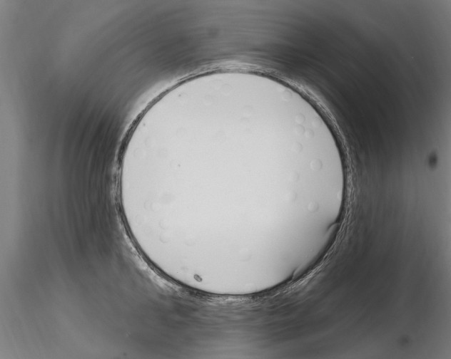 X0000115220902200912091218