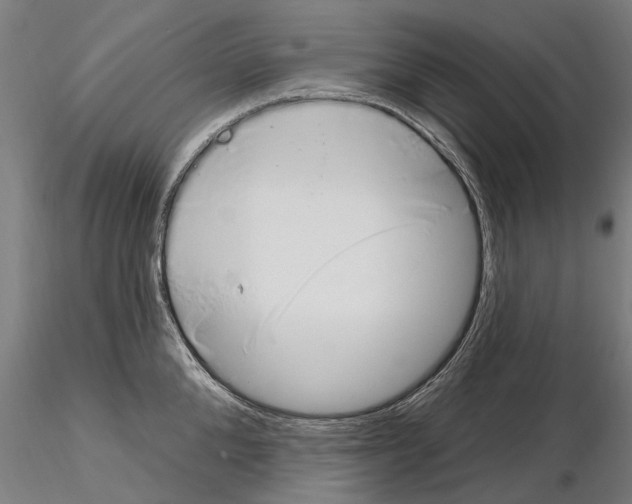 X0000115220904200912091218