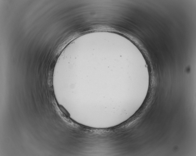 X0000115220905200912091218