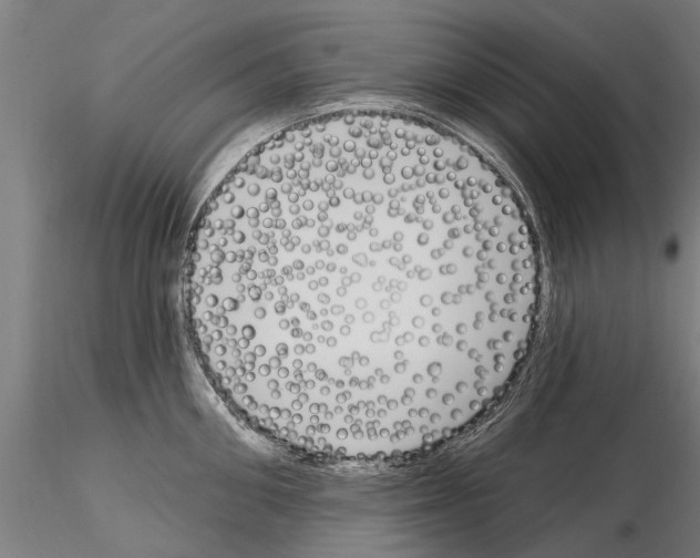 X0000115220906200912091218