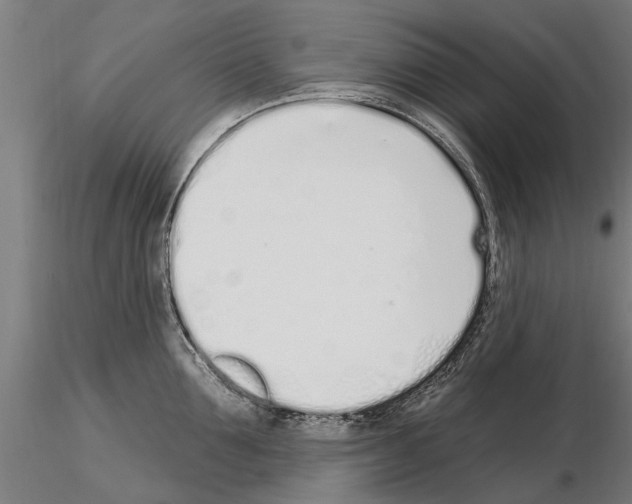 X0000115220907200912091218