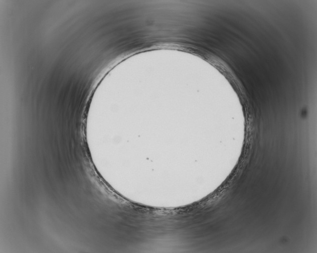 X0000115220908200912091218