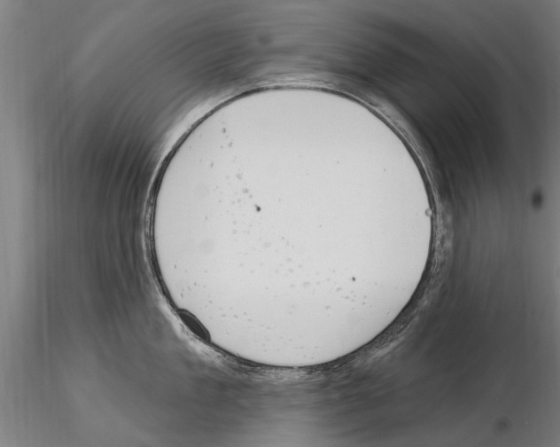 X0000115220909200912091218