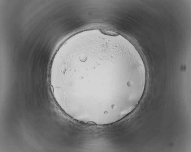 X0000115220912200912091218