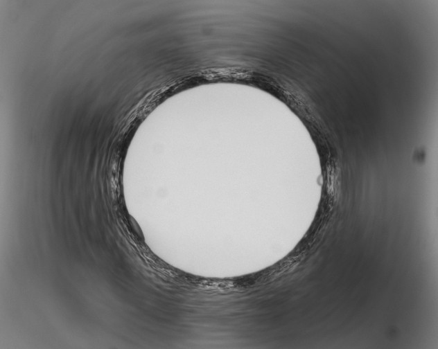 X0000115220915200912091217