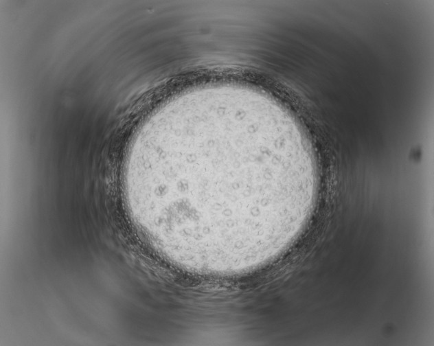 X0000115220917200912091217