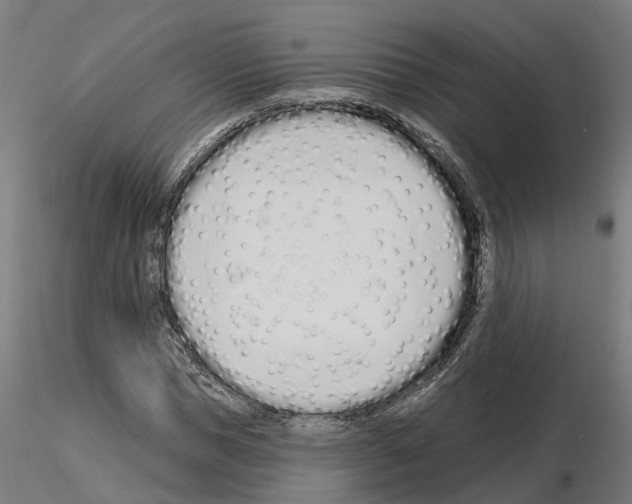 X0000115220921200912091217