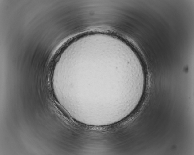 X0000115220923200912091217