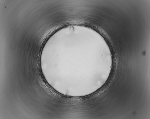X0000115220930200912091217