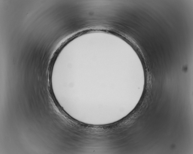 X0000115220935200912091217