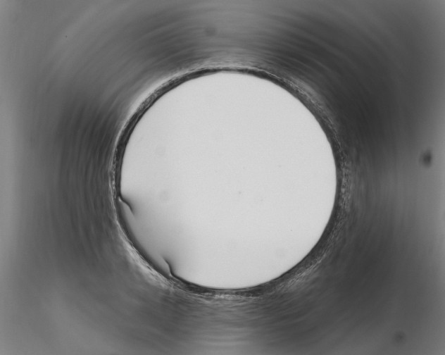 X0000115220942200912091217