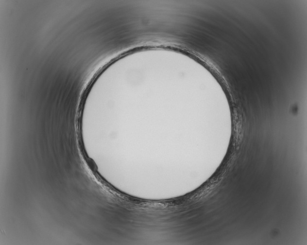 X0000115220943200912091217